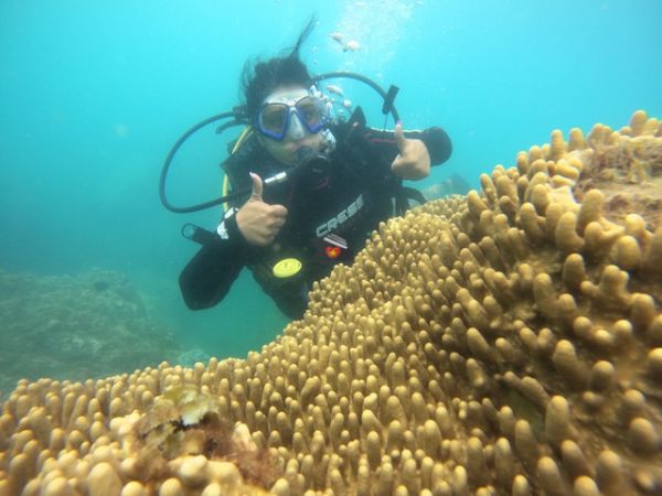 Join Group Diving Tour Nha Trang